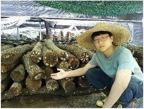 차광막 아래 눕혀 쌓은 참나무 원목 더미 옆에 앉아 종균 넣은 자리를 가리키는 모습